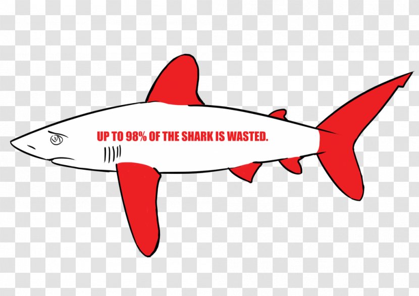Shark Fin Soup Finning Fish Great White - Spiny Dogfish Transparent PNG
