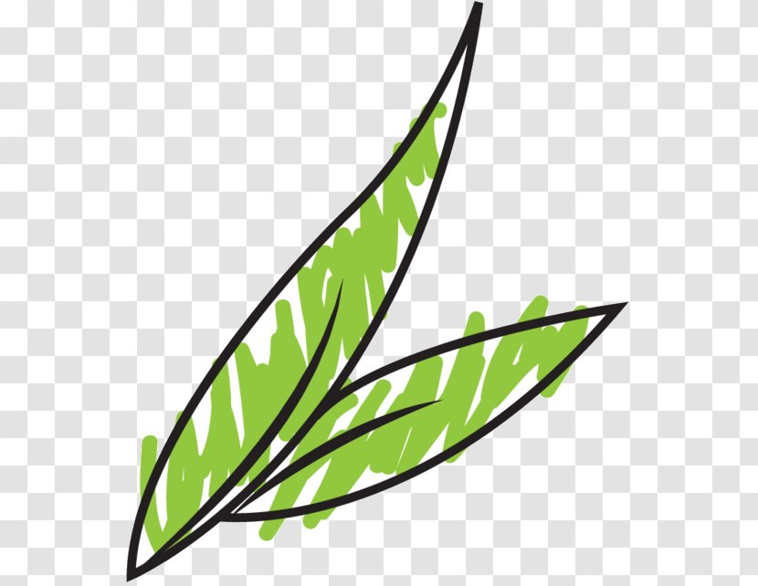 Clip Art Leaf Plant Stem Line Plants Transparent PNG