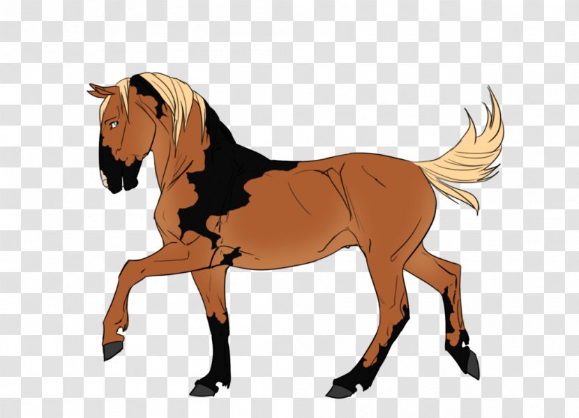 Mule Foal Stallion Halter Mustang - Equestrian - Earthquake Drawing Transparent PNG