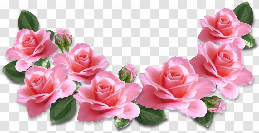 Rose Flower Pink Clip Art - Petal - Roses Decoration Clipart Image Transparent PNG