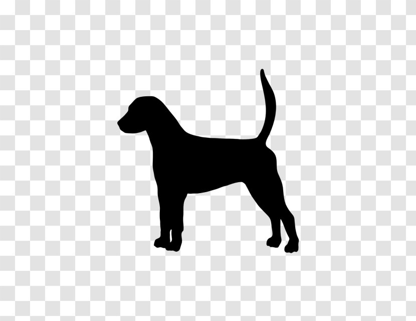Labrador Retriever Puppy Dog Breed English Foxhound American - Snout Transparent PNG