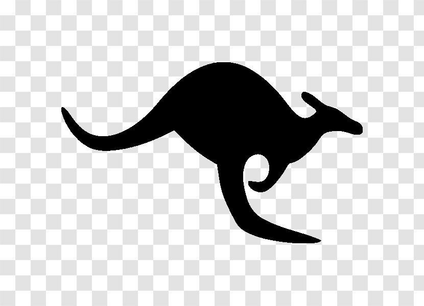 Kangaroo Clip Art - Cat Transparent PNG