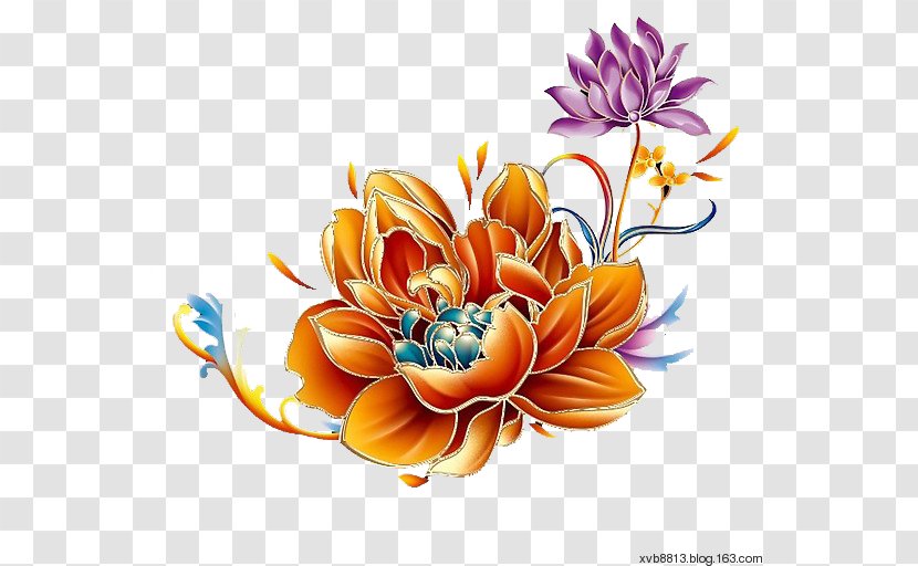 Vector Graphics Image Flower Design - Orange - Gazania Transparent PNG