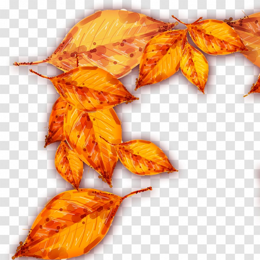 Autumn Deciduous Leaf - Orange - Leaves Material Transparent PNG