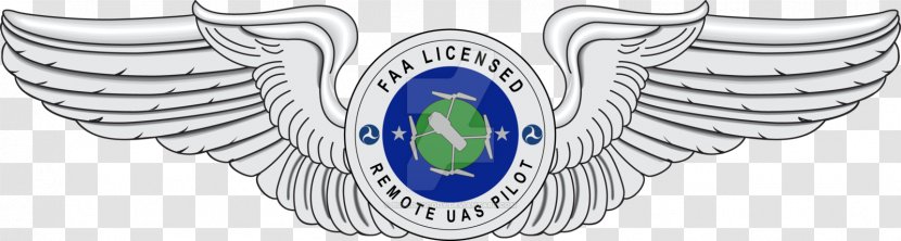 Unmanned Aerial Vehicle Airplane Aircraft Pilot U.S. Air Force Aeronautical Rating Aviator Badge - Aviation Wings Drawings Transparent PNG