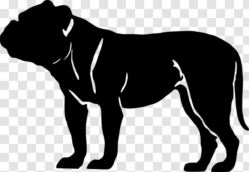 French Bulldog American Bully Pit Bull Poodle - Breed - Puppy Transparent PNG