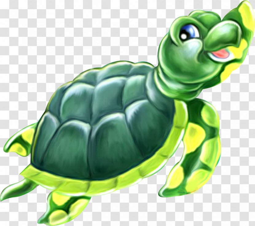 Green Sea Turtle Reptile Image Drawing - Tortoise Transparent PNG