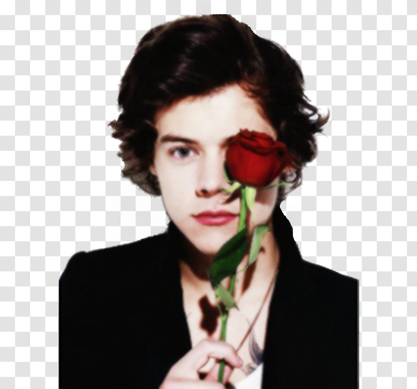 Harry Styles One Direction Photo Shoot Boy Band - Flower Transparent PNG
