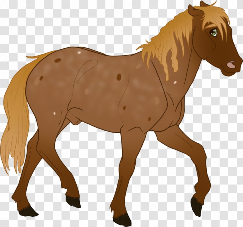 Mule Foal Stallion Mare Colt - Mustang Transparent PNG
