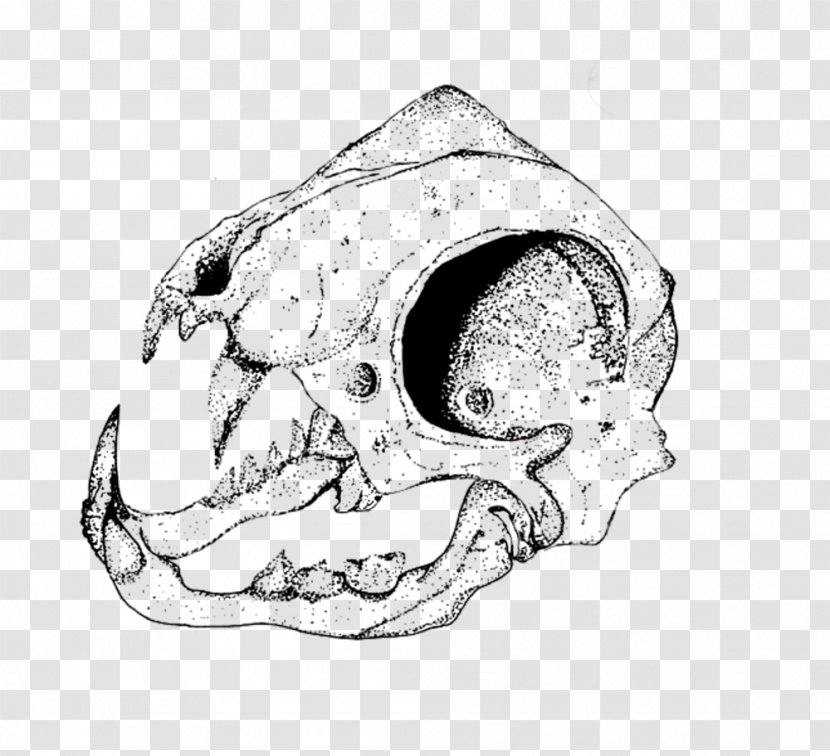 Nose Car Jaw Mouth Sketch - Animal - T-shirt Skull Transparent PNG