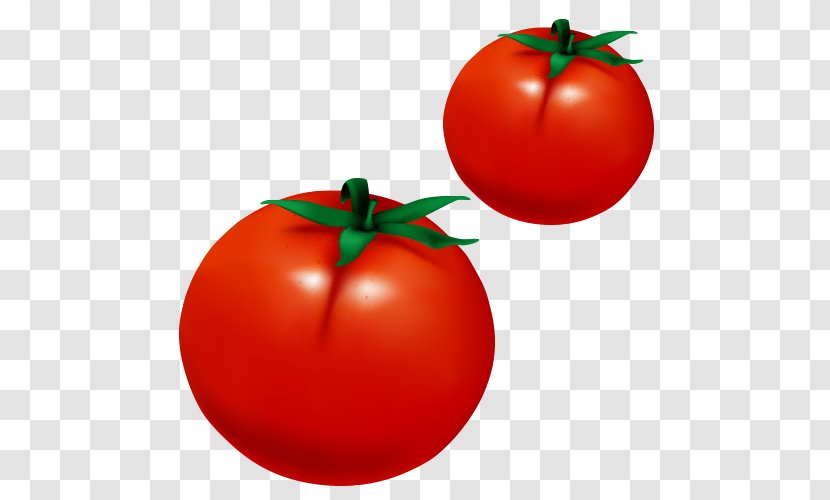 Plum Tomato Kids Urdu Qaida Bush Fun Graphics - Gratis - Vector Tomatoes Transparent PNG