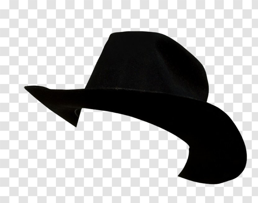 Fedora Cowboy Hat Stetson - Man Transparent PNG