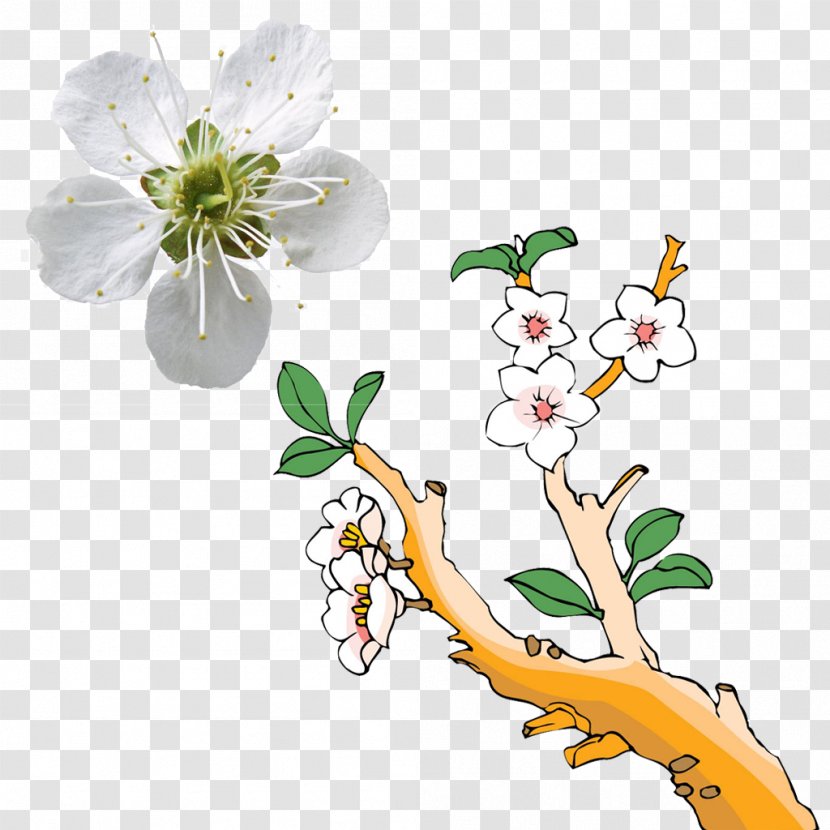 Blossoming Pear Tree Painting Illustration - Painted White HD Transparent PNG