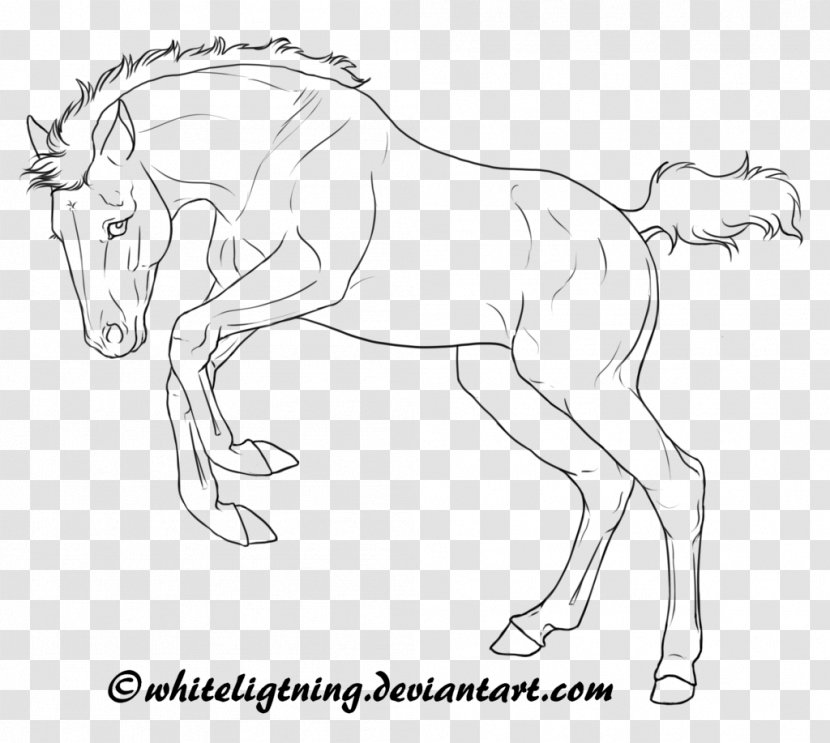 Arabian Horse American Quarter Foal Mare Line Art - Figure Drawing Transparent PNG