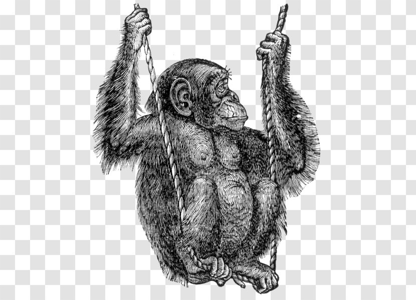 Gorilla Common Chimpanzee Clip Art Transparent PNG