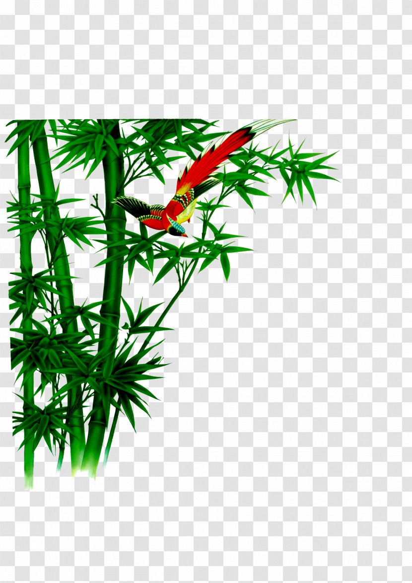 Bamboe Bamboo Computer File - Branch - Corner Transparent PNG