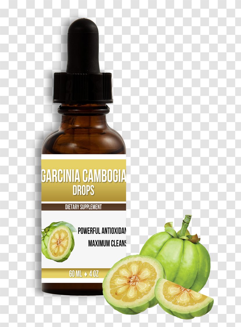 Dietary Supplement Garcinia Gummi-gutta Hydroxycitric Acid Health Weight Loss - Cambogia Transparent PNG