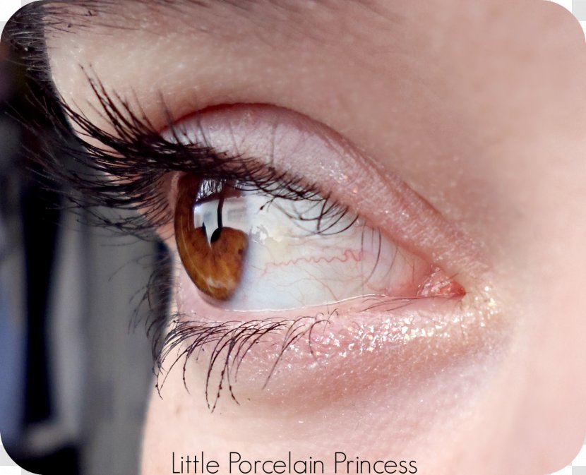 Eye Liner Tears Eyelash Extensions Etude House - Silhouette Transparent PNG