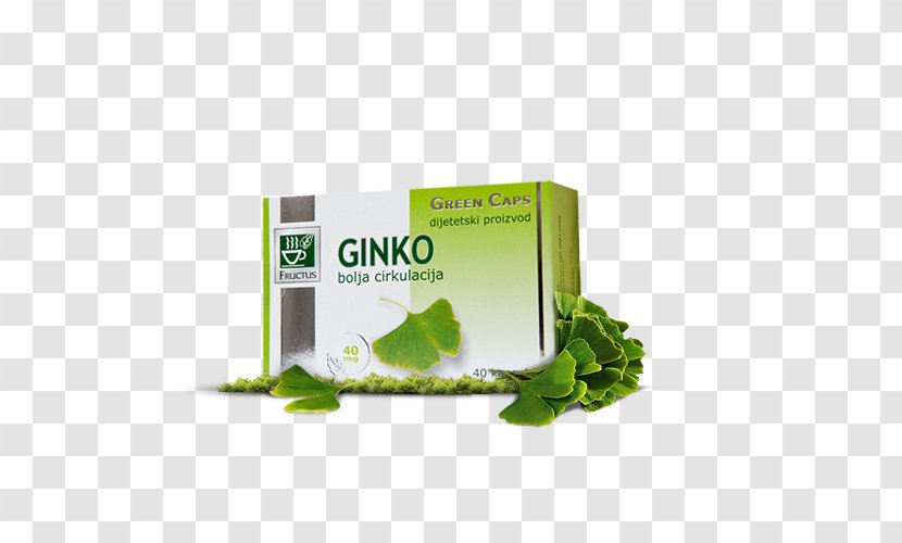 Herbalism - Ginko Transparent PNG