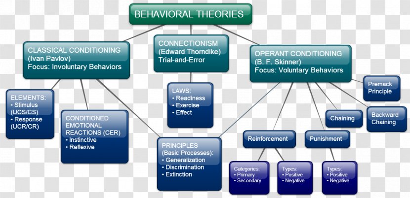 Learning Theory Teacher By Teaching Behavior - Organization Transparent PNG