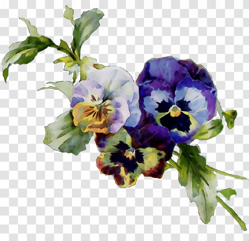 Abziehtattoo Pansy Flash Violet - Plant Transparent PNG