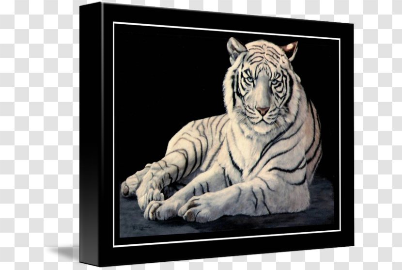 White Tiger Art Drawing Oil Painting Transparent PNG