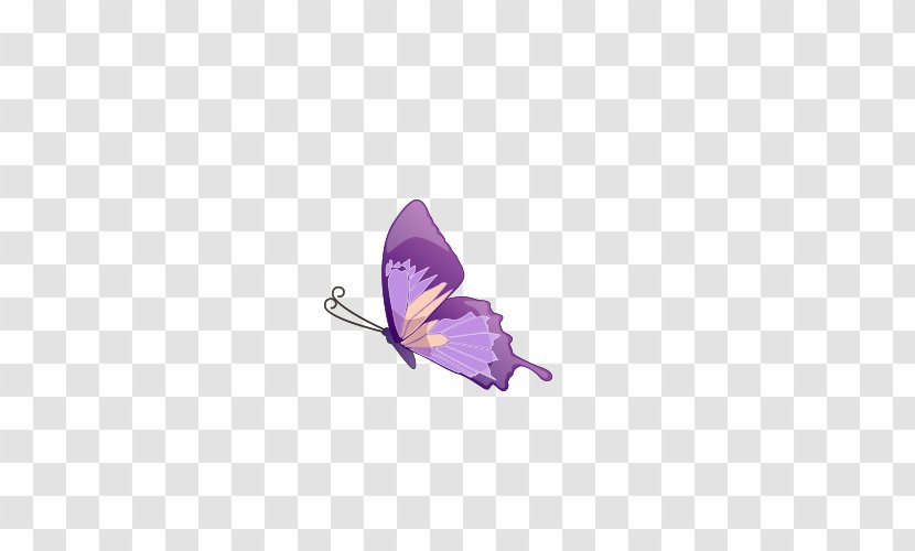 Butterfly - Invertebrate - Purple Transparent PNG