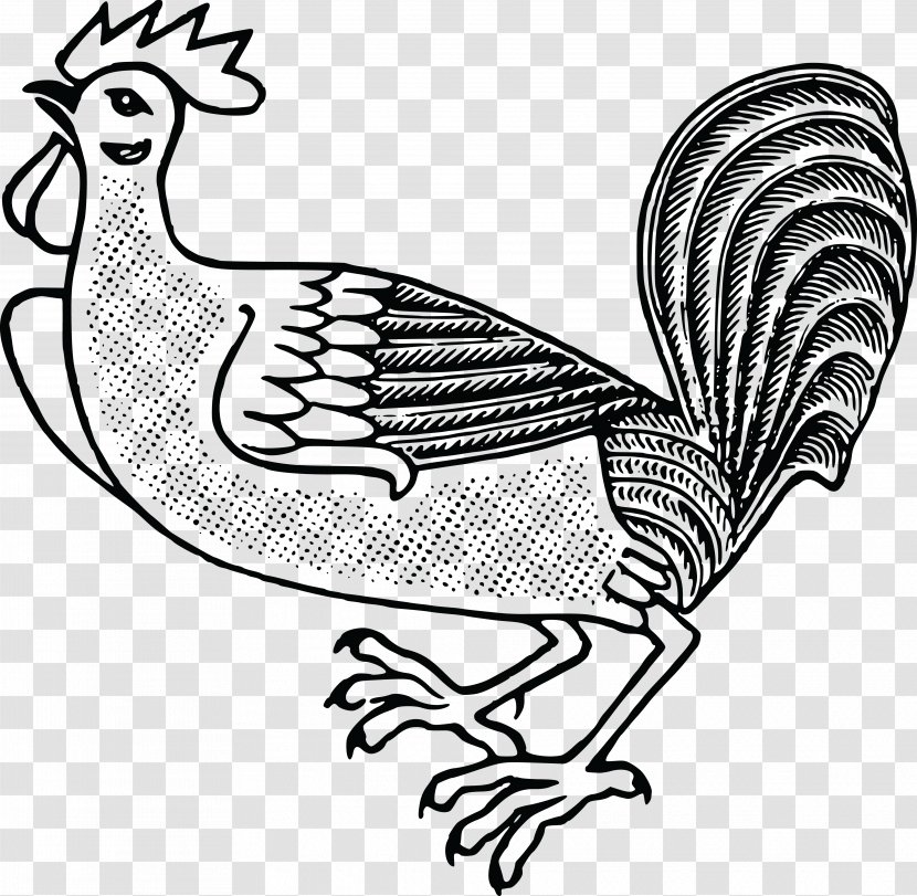 Chicken Rooster Bird Poultry Clip Art - Line Transparent PNG