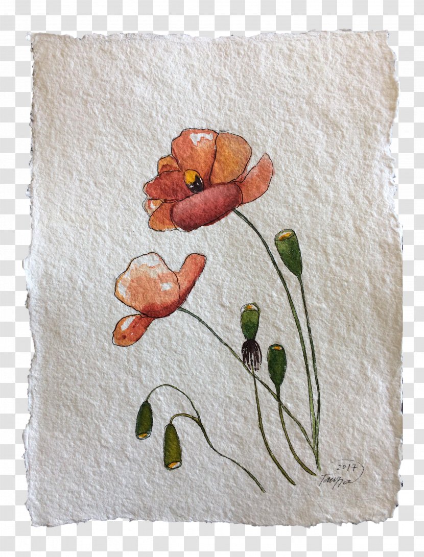 Textile Cushion - Flower - Poppy Watercolor Painting Transparent PNG