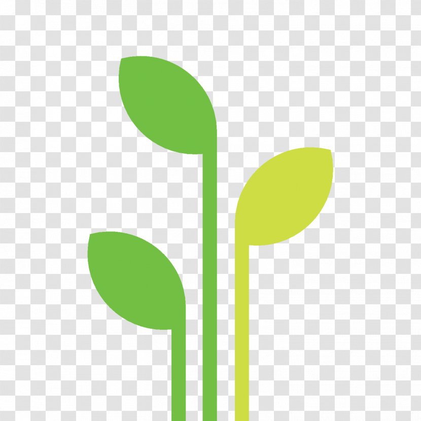 Fennel Flower Logo Graphic Design Charter Text - Loveinamist - Botanical Name Transparent PNG