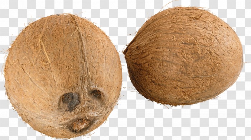 Coconut Image - Wool - Fruit Transparent PNG