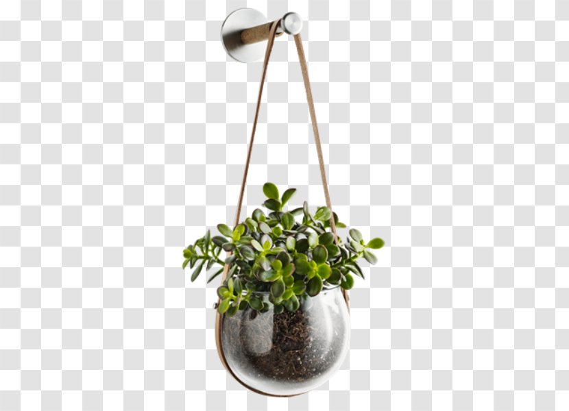 Holmegaard Flowerpot Cachepot Glass Light - Pot Plant Transparent PNG