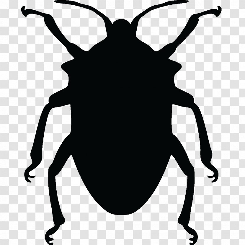 Beetle Silhouette Transparent PNG