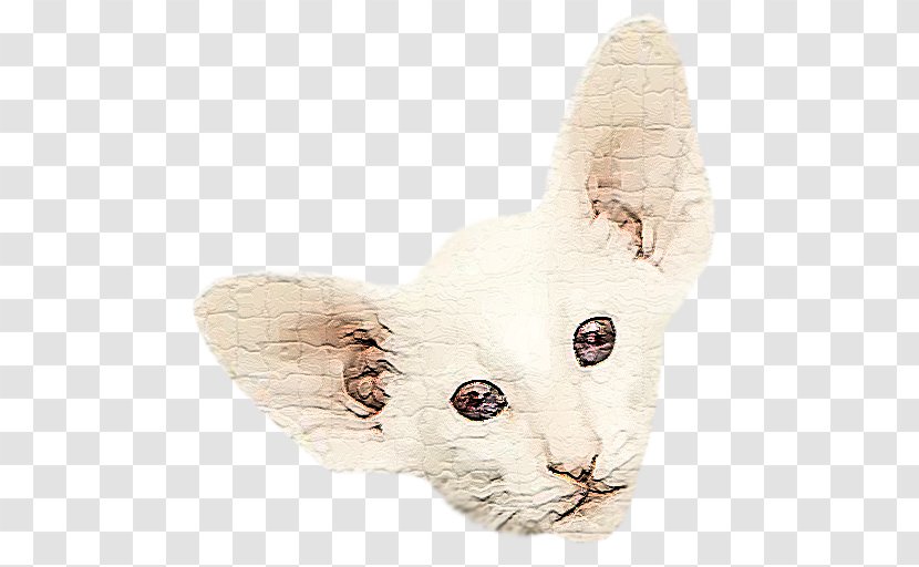 Whiskers Cat Fur Transparent PNG