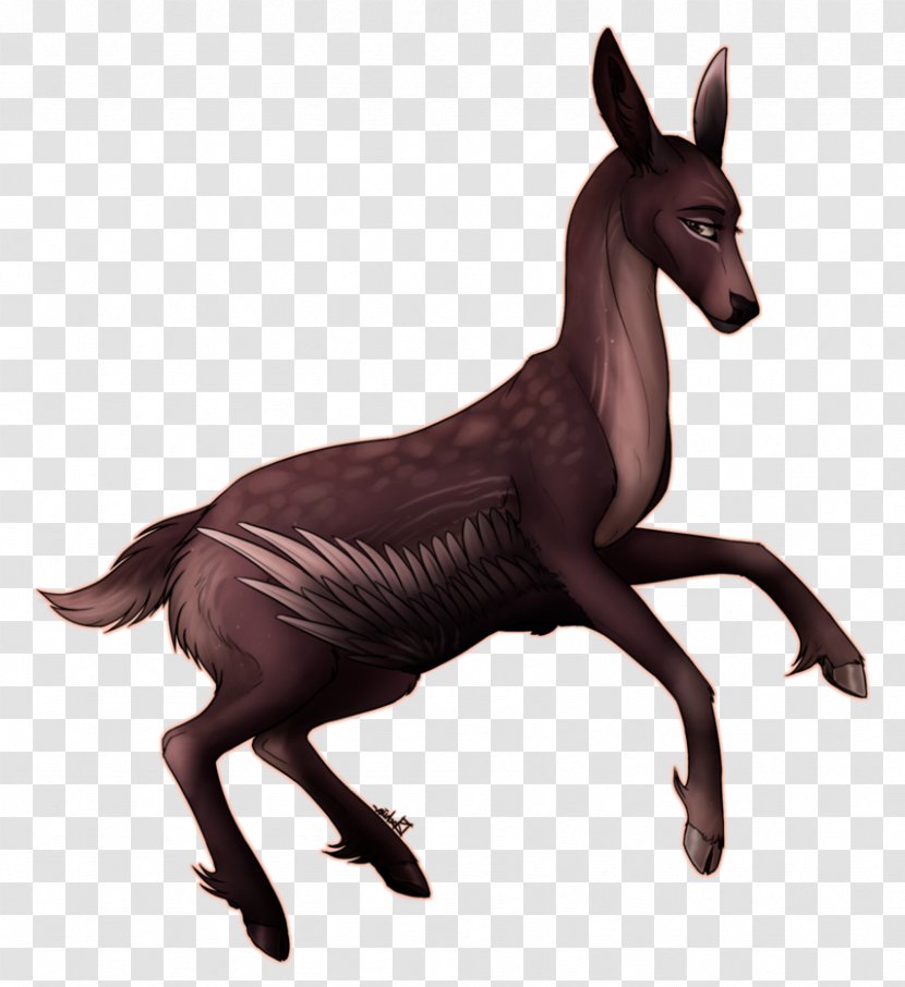 Mule Mustang Foal Donkey Terrestrial Animal - Organism Transparent PNG