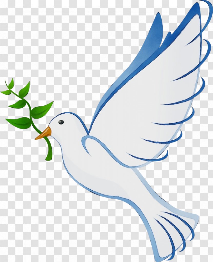 Feather - Paint - Peace Line Art Transparent PNG