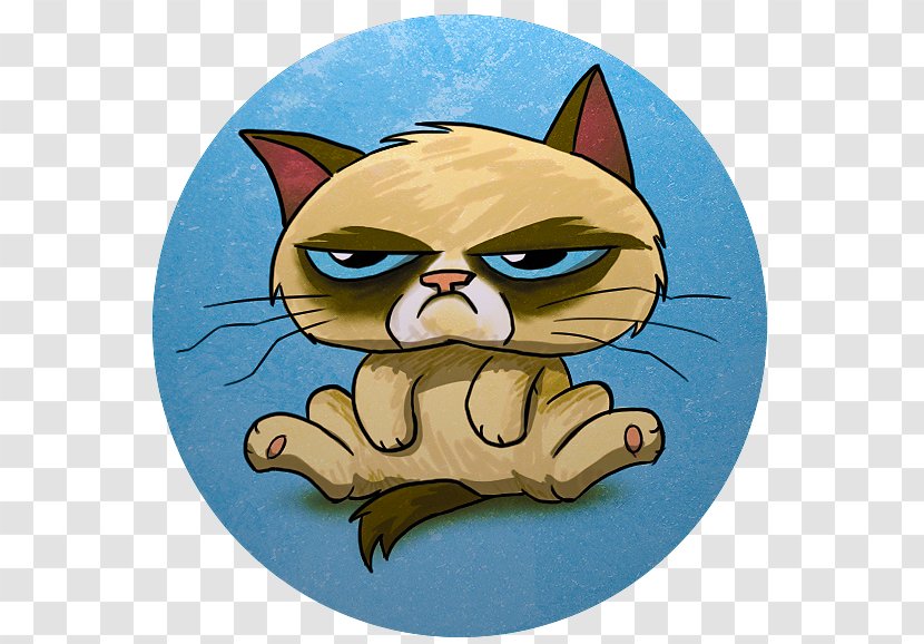 Whiskers Kitten Grumpy Cat Tabby Transparent PNG