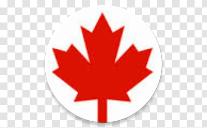 Flag Of Canada Maple Leaf 150th Anniversary - O - Collection Tips Transparent PNG