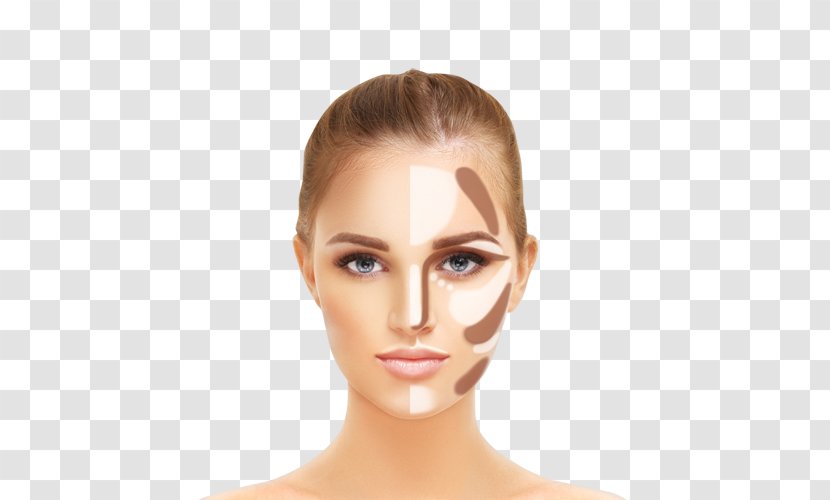 Lisa Eldridge Cosmetics Contouring Make-up Artist Airbrush Makeup - Foundation - Eye Shadow Transparent PNG