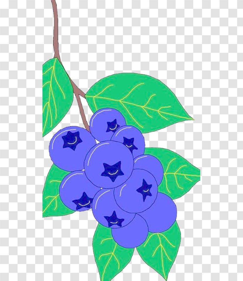 Vegetable Auglis Blueberry - Floral Design Transparent PNG