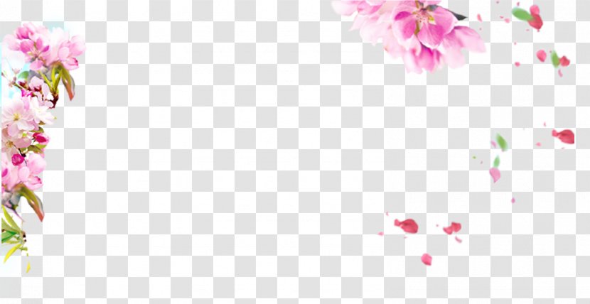 Download Clip Art - Flower - Peach Blossom Transparent PNG