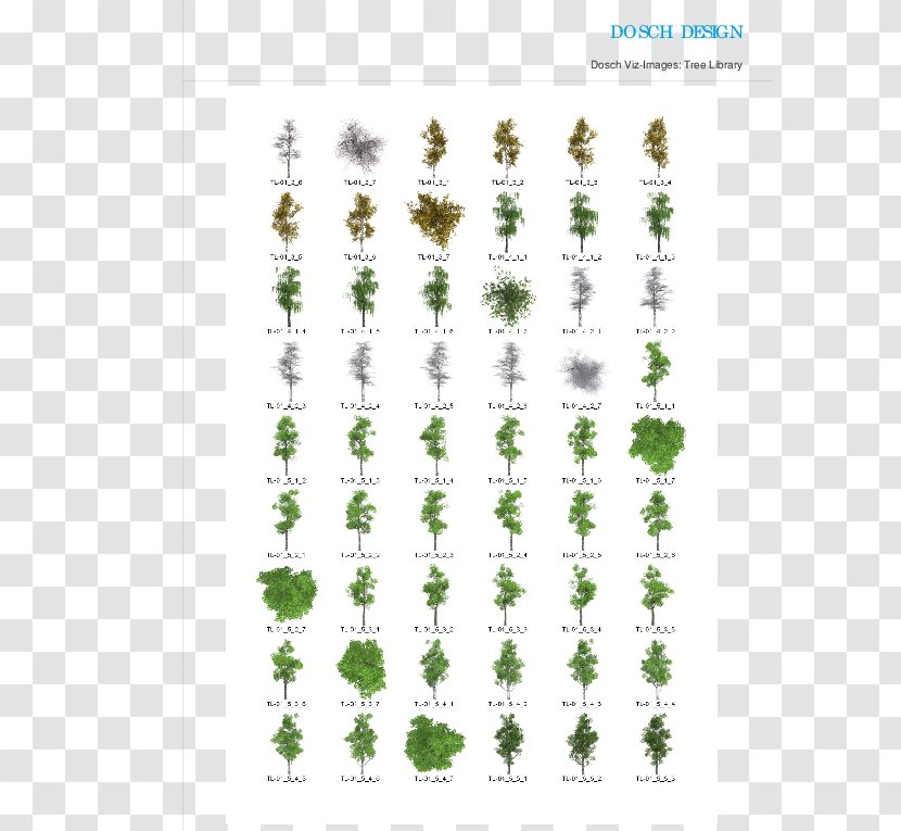 Tree Leaf Plant Stem - 2D Transparent PNG