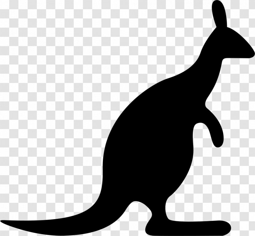 Australia Wombat Kangaroo Transparent PNG