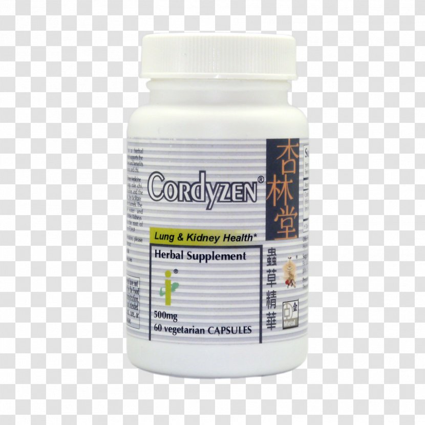 Dietary Supplement Health Respiratory System Lung Phlegm - Chinese Herbology - Authentic Cordyceps Transparent PNG