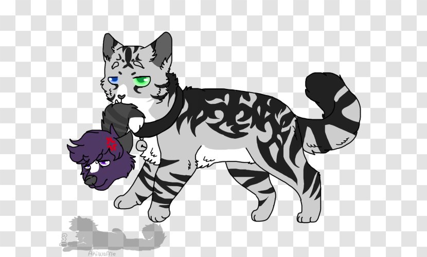 Whiskers Kitten Tiger Cat Horse - Like Mammal Transparent PNG