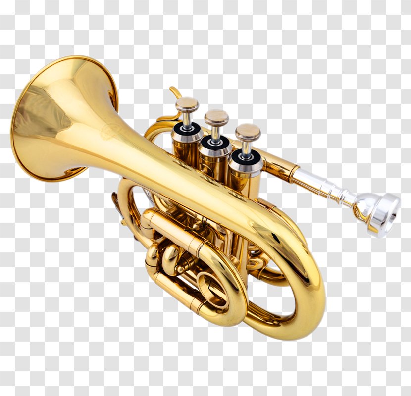Pocket Trumpet Cornet Musical Instrument Brass - Tree - No. B Flat Palm On The Back Of Tone Transparent PNG