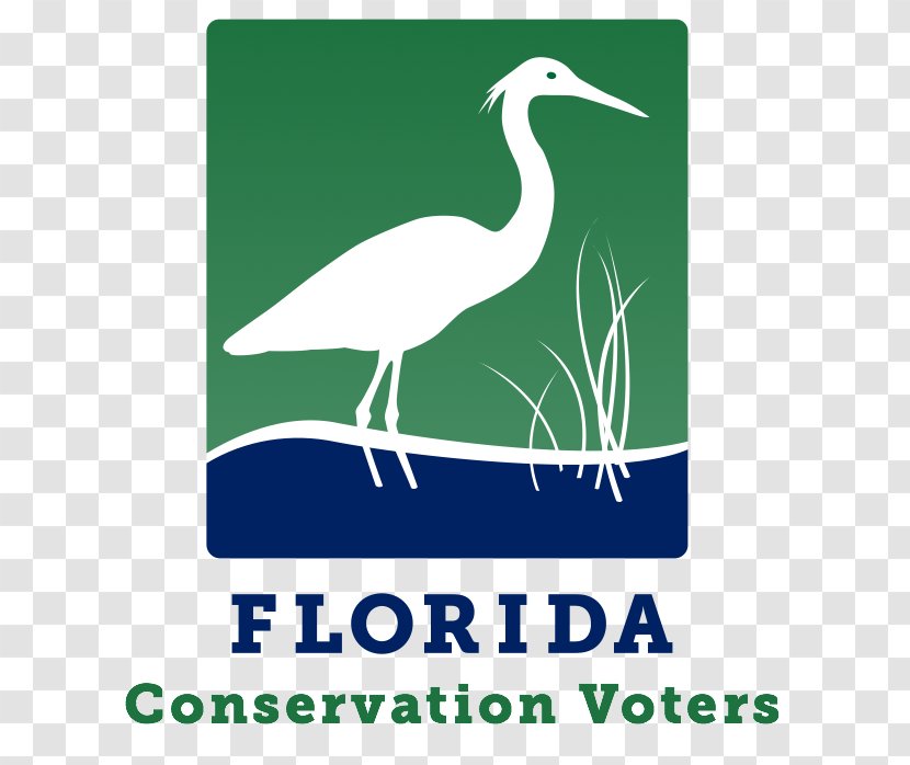 Voting Conservation Floridas Water & Land Legacy Election Day - Advertising - League Of Voters Transparent PNG