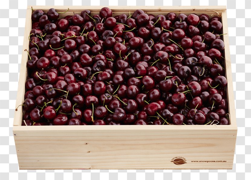 Ferrero Rocher Cranberry SpA Cherry Belgian Cuisine Transparent PNG