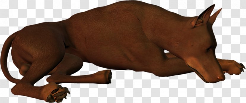 Puppy Dog Breed 3D Computer Graphics - Horse Like Mammal - Handsome Meng Do Not Pull The Image Transparent PNG