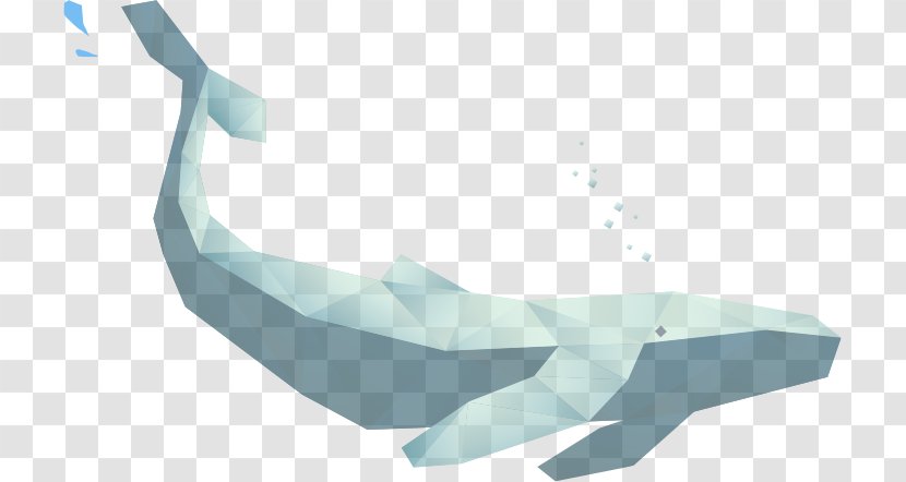 Porpoise Cetaceans - Blue Whale Transparent PNG